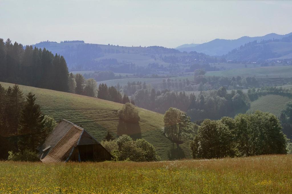 Gaestehaus Waldeck ทิทิเซ-นอยชตัดท์ ภายนอก รูปภาพ