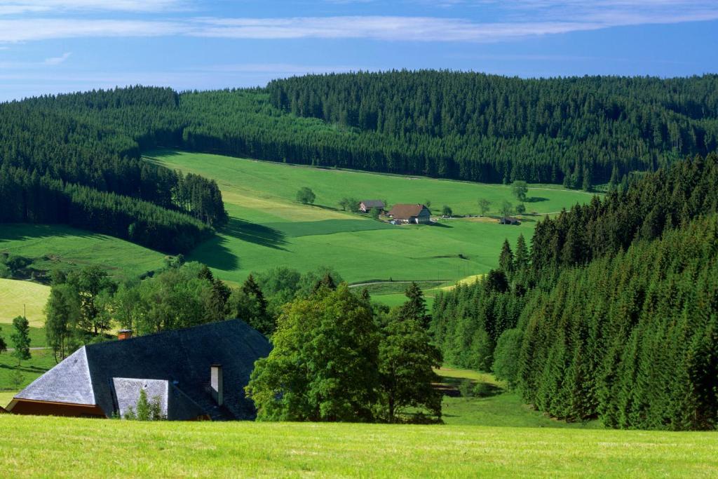 Gaestehaus Waldeck ทิทิเซ-นอยชตัดท์ ภายนอก รูปภาพ